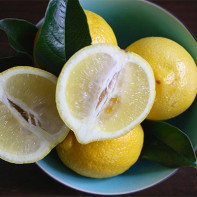 Фото лимонов 4
