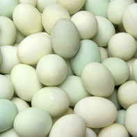 Фото утиных яиц 5