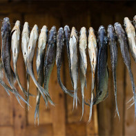 Фото сушеной и вяленой рыбы 4