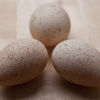 Фото яиц цесарки