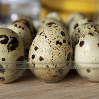 Фото перепелиных яиц 4