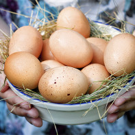 Фото куриных яиц 3