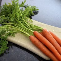 Фото морковной ботвы 5