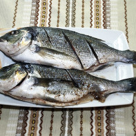 Фото рыбы дорадо 2
