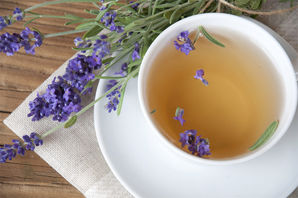 Чай с лавандой в медицине