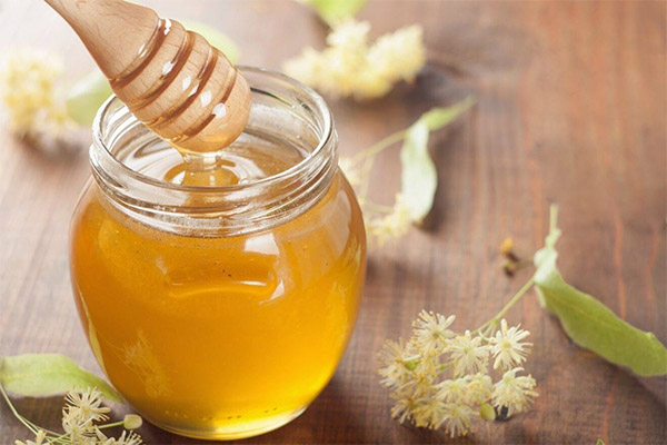 Чем полезен липовый мед