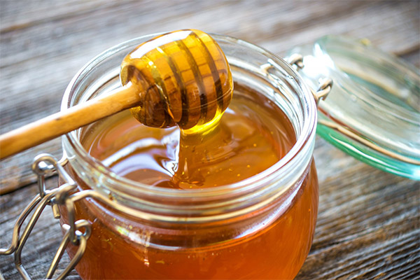 Чем полезен мед из люцерны