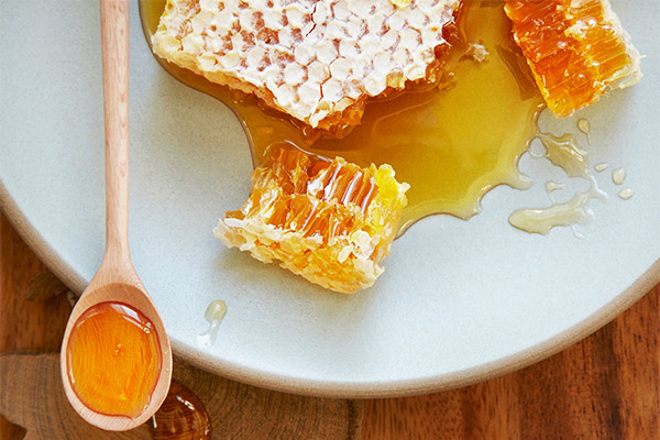 Чем полезен мед в сотах