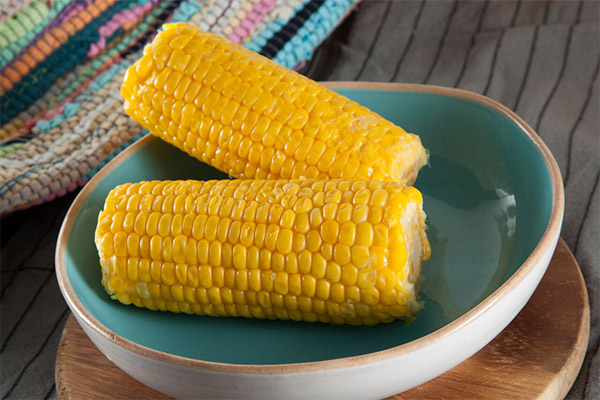 Чем полезна вареная кукуруза