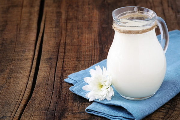 Чем полезно козье молоко