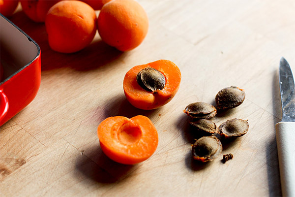Чем полезны абрикосовые косточки