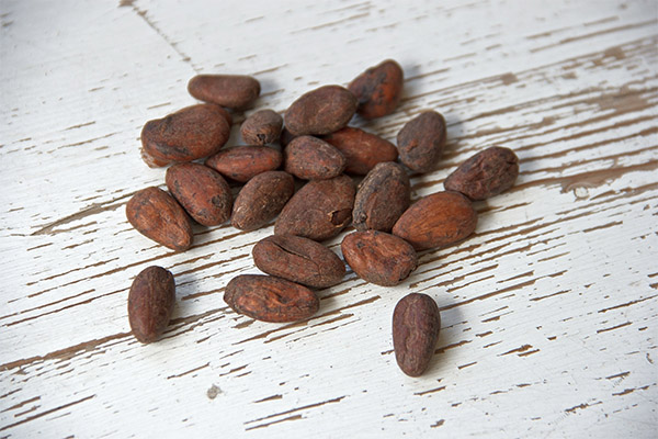 Чем полезны какао-бобы