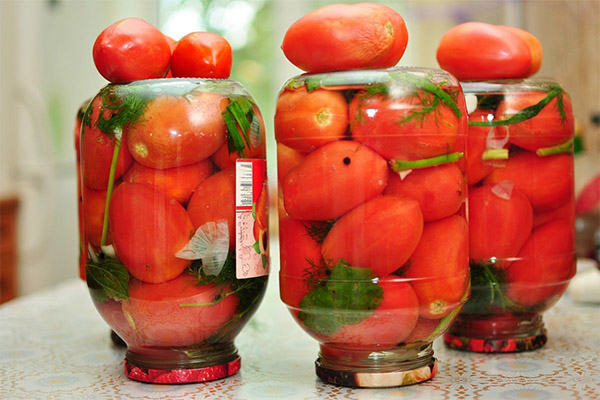 Чем полезны соленые помидоры