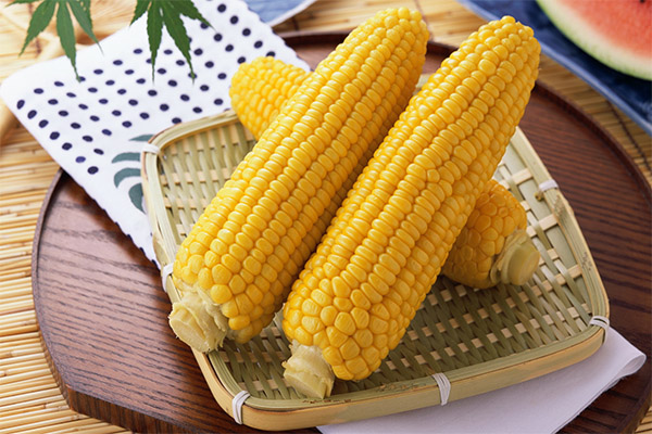 Что можно приготовить из кукурузы