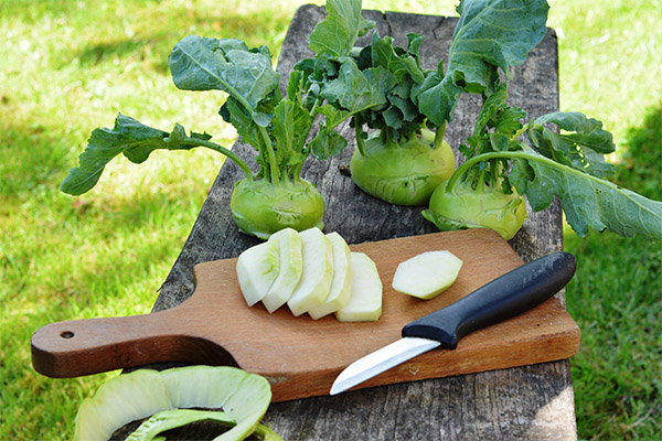 Что можно приготовить из капусты кольраби