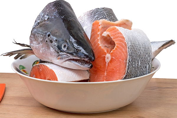 Что можно приготовить из лосося