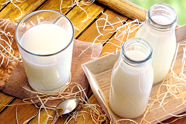 Что можно приготовить из молока
