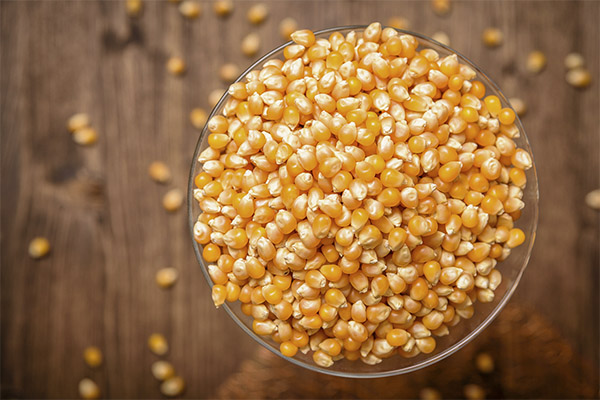 Что можно приготовить из сушеной кукурузы