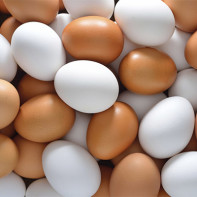 Фото куриных яиц