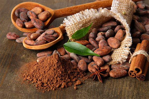 Интересные факты о какао