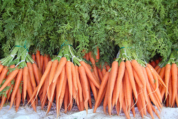 Интересные факты о морковке