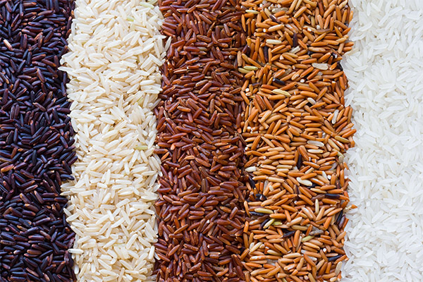 Интересные факты о рисе
