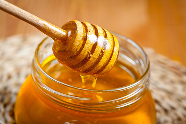Как мед влияет на организм человека
