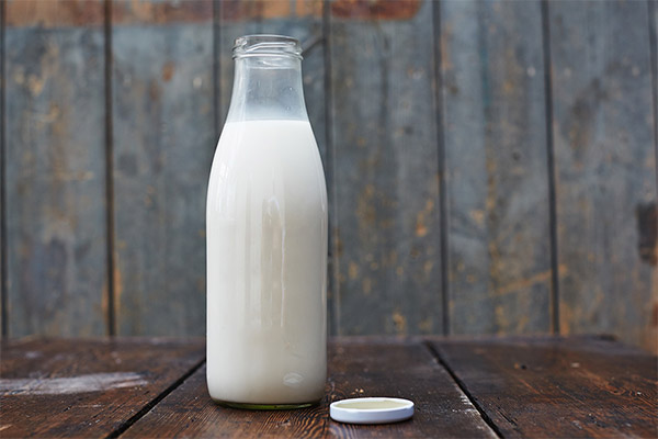 Как молоко влияет на организм человека