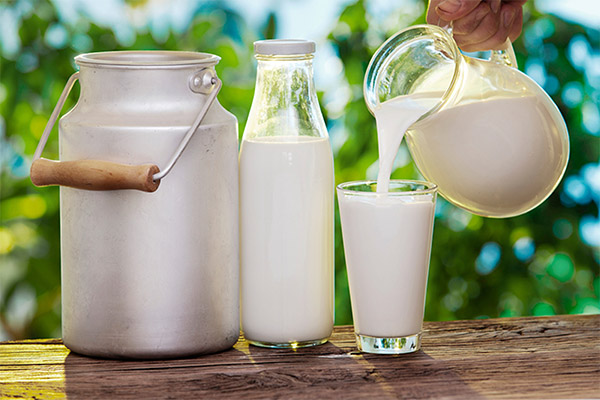 Как определить натуральное козье молоко