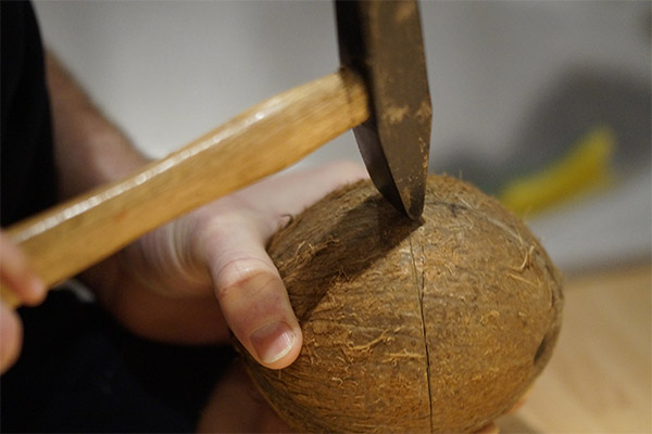 Как открыть кокос с помощью молотка