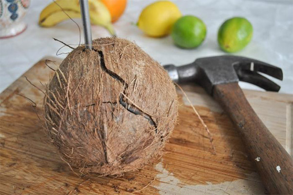 Как открыть кокос с помощью отвертки