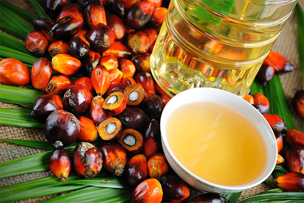 Как пальмовое масло влияет на организм