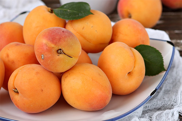 Как правильно есть абрикосы