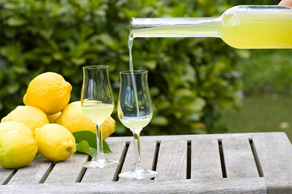 Как правильно пить лимончелло