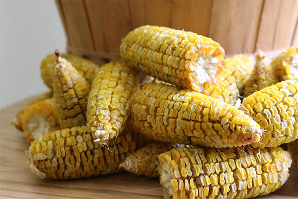 Как правильно сушить кукурузу