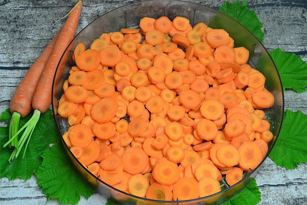 Как правильно сушить морковь