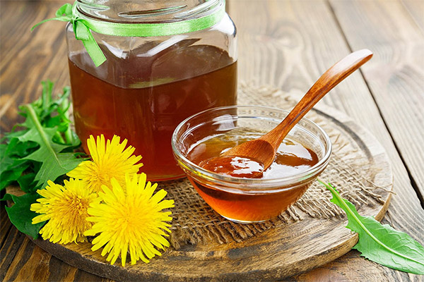 Как принимать мед из одуванчиков