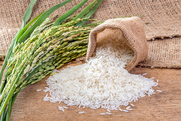 Как рис влияет на организм человека