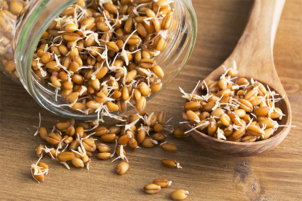 Как употреблять пророщенную пшеницу