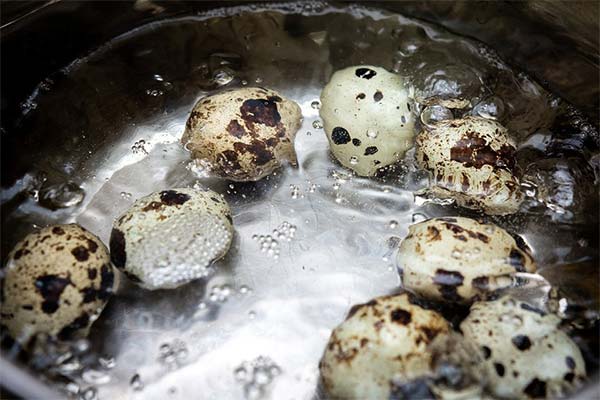 Как варить перепелиные яйца всмятку