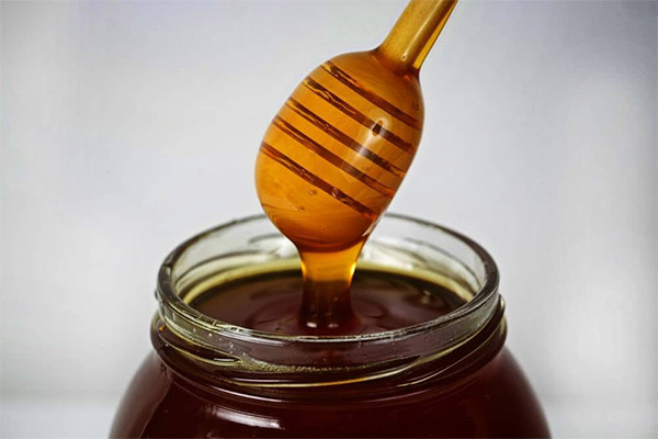 Как выбрать и хранить гречишный мед
