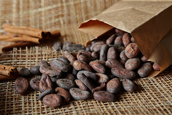 Как выбрать и хранить какао-бобы