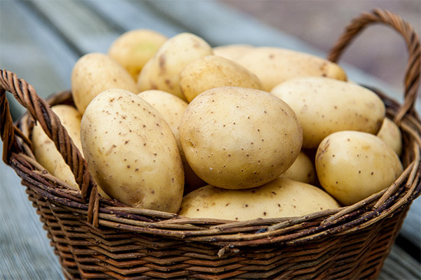 Как выбрать и хранить картофель