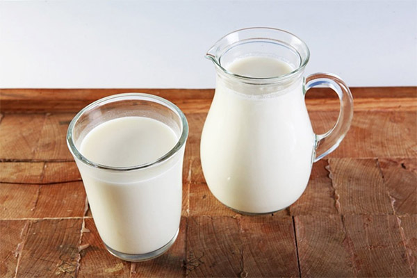 Как выбрать и хранить козье молоко