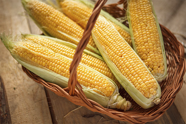 Как выбрать и хранить кукурузу