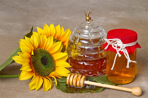 Как выбрать и хранить мед подсолнуха