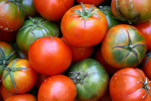 Как выбрать и хранить помидоры