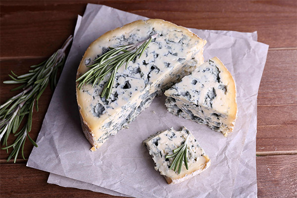 Как выбрать и хранить сыр с плесенью