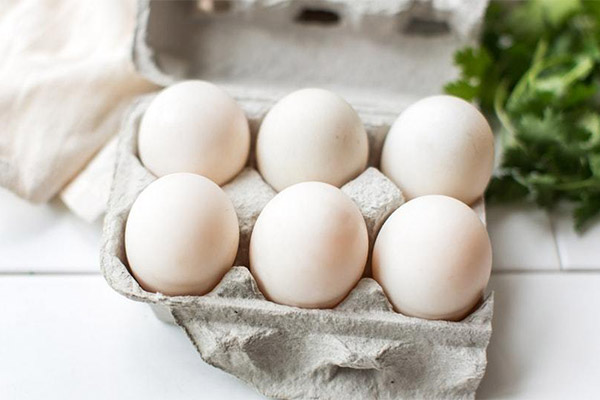 Как выбрать и хранить утиные яйца