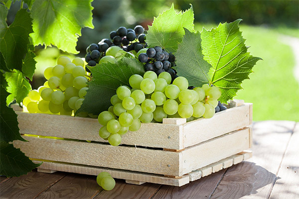 Как выбрать и хранить виноград